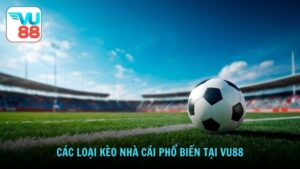 Các loại kèo nhà cái phổ biến tại Vu88