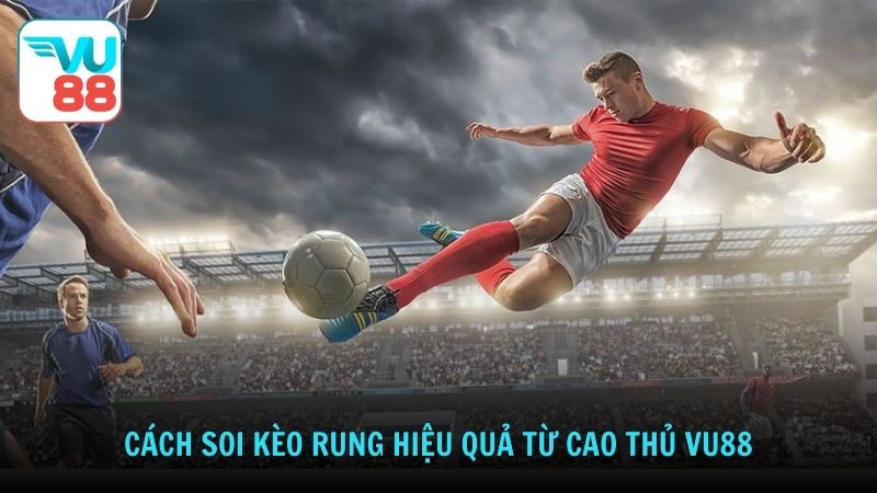 Cách soi kèo rung hiệu quả từ cao thủ Vu88