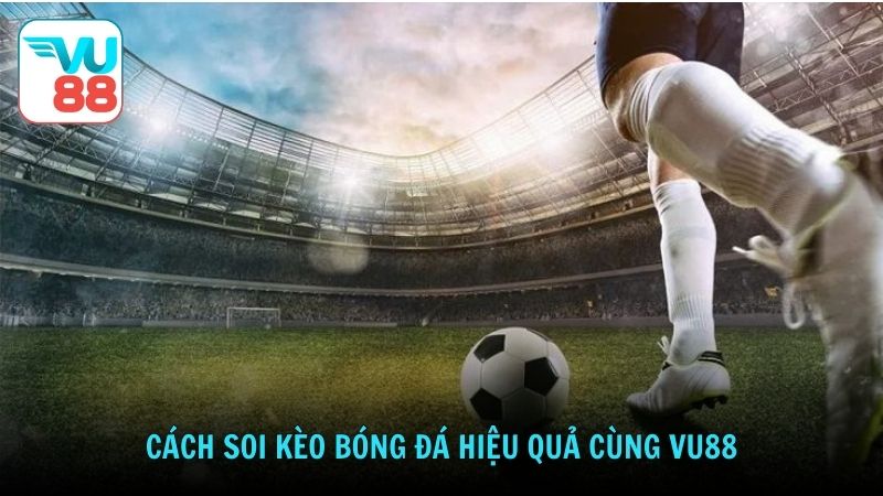 Cách soi kèo bóng đá hiệu quả cùng Vu88
