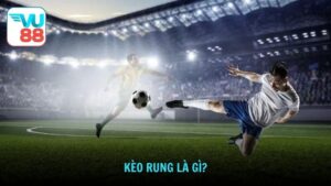 Kèo rung là gì?