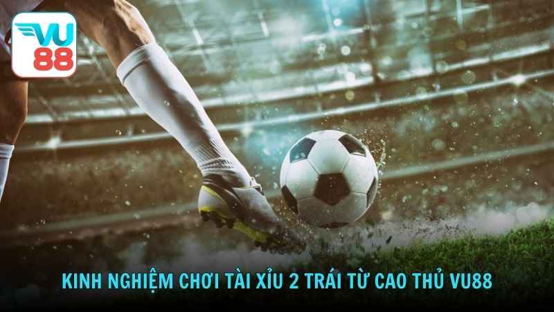 Kinh nghiệm chơi tài xỉu 2 trái từ cao thủ Vu88