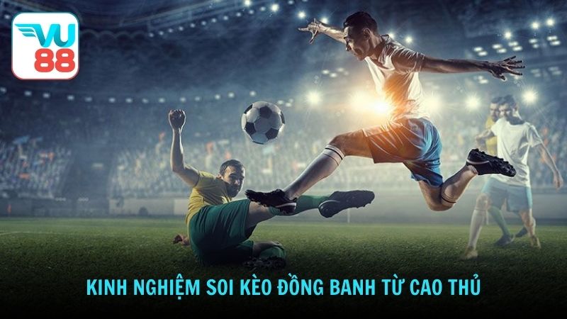 Kinh nghiệm soi kèo đồng banh từ cao thủ
