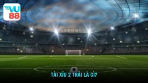 Tài xỉu 2 trái là gì?