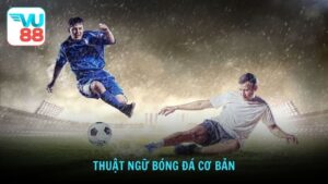 Thuật ngữ bóng đá cơ bản
